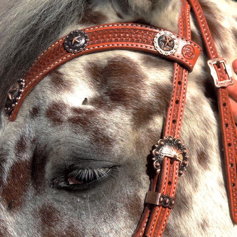 Matériel d’équitation